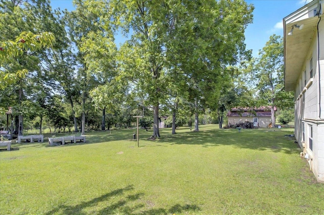 5975 Mount Pleasant Rd, Quincy, FL 32352 - view of grassy yard