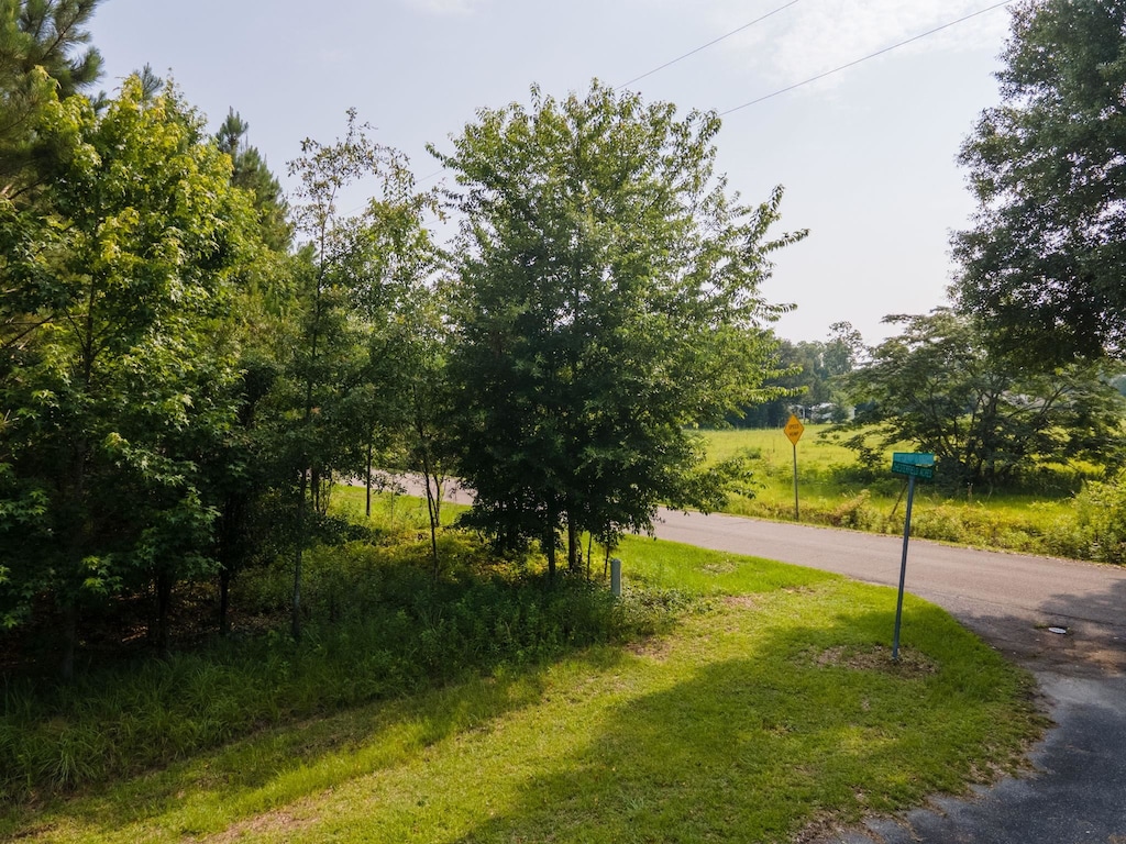 14 Chesterfield Rd, Quincy, FL 32351 - photo 2