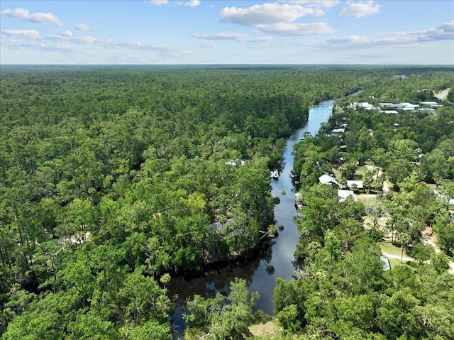1334 Jr Howell Rd, Steinhatchee, FL 32359 - drone / aerial view with a forest view and a water view