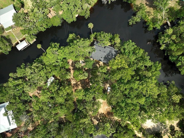 1334 Jr Howell Rd, Steinhatchee, FL 32359 - aerial view featuring a water view