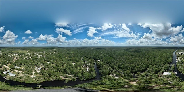 1334 Jr Howell Rd, Steinhatchee, FL 32359 - aerial view with a wooded view