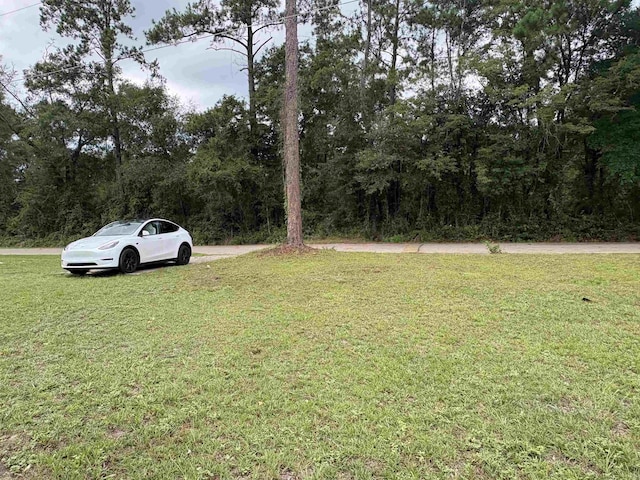 81 Knight Rd, Midway, FL 32343 - photo 11