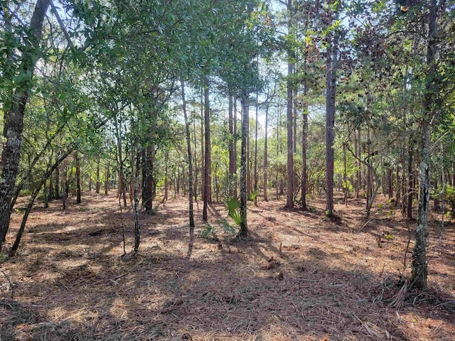 XX Gentleman Rd, Ochlockonee Bay FL, 32346 land for sale