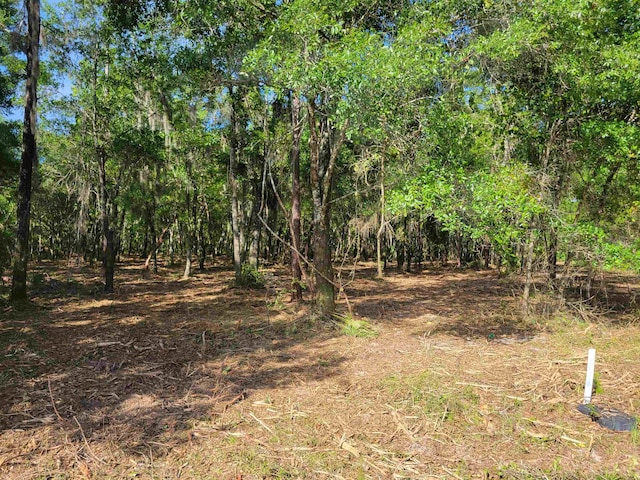 Listing photo 2 for XX Gentleman Rd, Ochlockonee Bay FL 32346