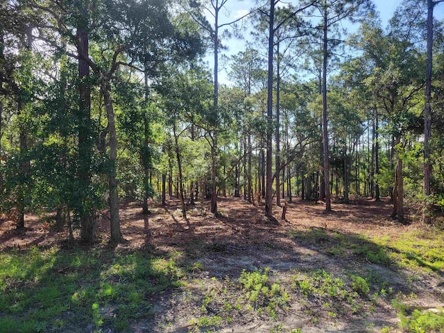 Listing photo 3 for XX Gentleman Rd, Ochlockonee Bay FL 32346