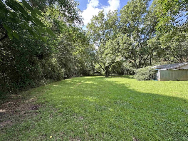 185 Gray Rd, Quincy, FL 32351 - photo 10