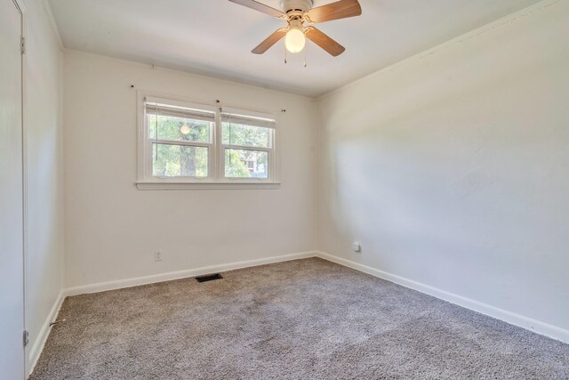 1817 Jackson Bluff Rd, Tallahassee, FL 32304 - photo 25