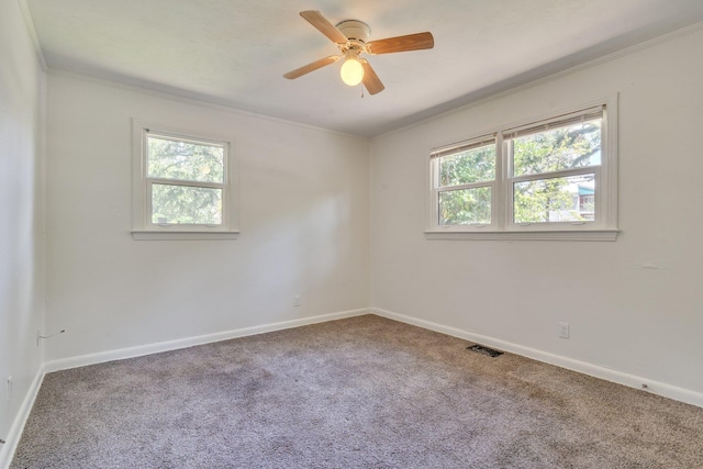 1817 Jackson Bluff Rd, Tallahassee, FL 32304 - photo 22