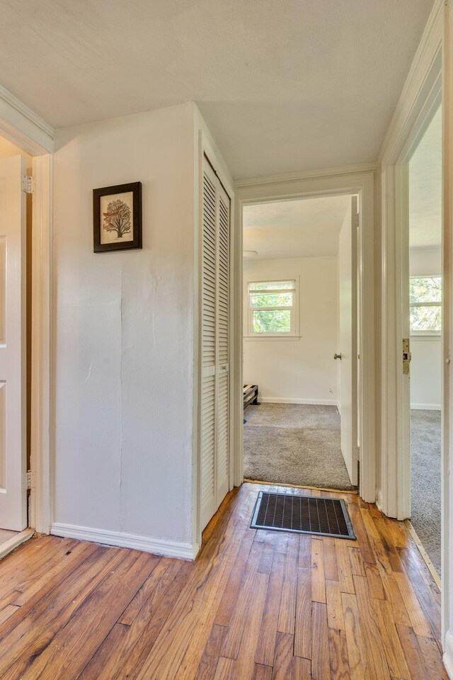 1817 Jackson Bluff Rd, Tallahassee, FL 32304 - photo 17