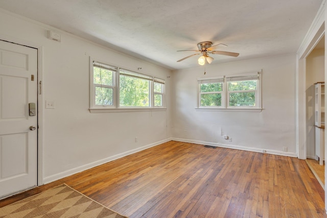 1817 Jackson Bluff Rd, Tallahassee, FL 32304 - photo 3