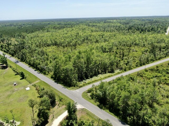427 SW Casselberry Trl, Madison, FL 32340 - photo 28