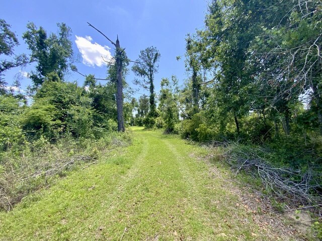 427 SW Casselberry Trl, Madison, FL 32340 - photo 10