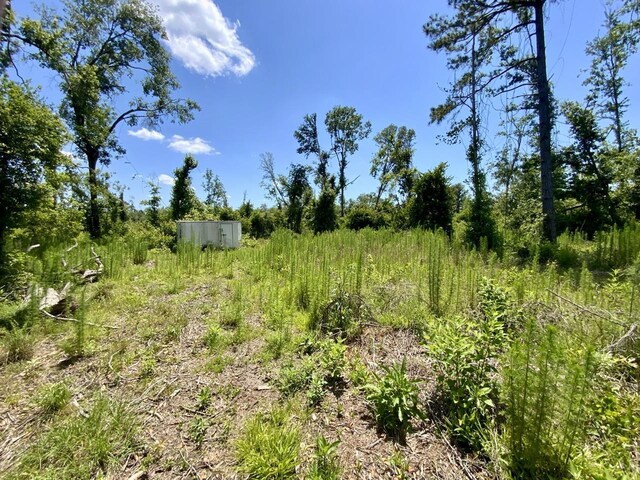 427 SW Casselberry Trl, Madison, FL 32340 - photo 14