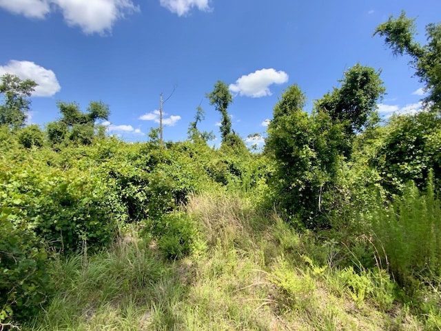 427 SW Casselberry Trl, Madison, FL 32340 - photo 13