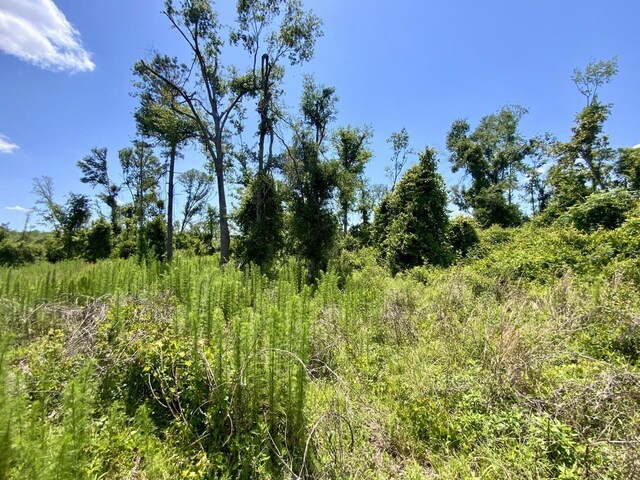 427 SW Casselberry Trl, Madison, FL 32340 - photo 12