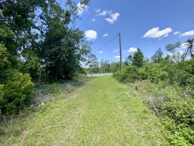 427 SW Casselberry Trl, Madison, FL 32340 - photo 7