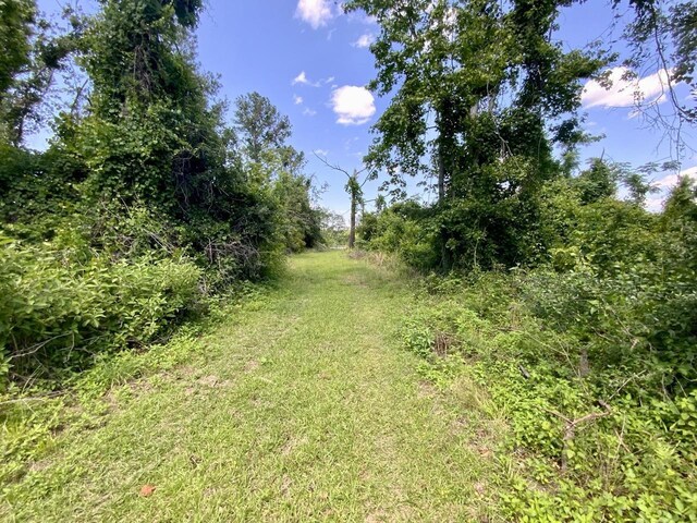 427 SW Casselberry Trl, Madison, FL 32340 - photo 6