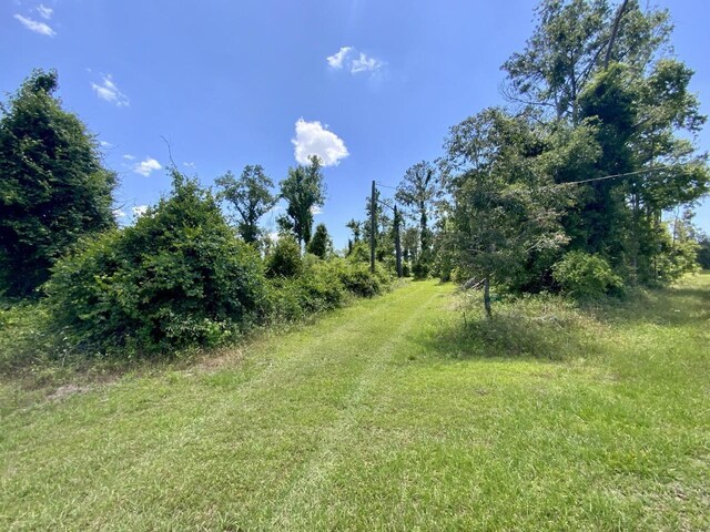 427 SW Casselberry Trl, Madison, FL 32340 - photo 8