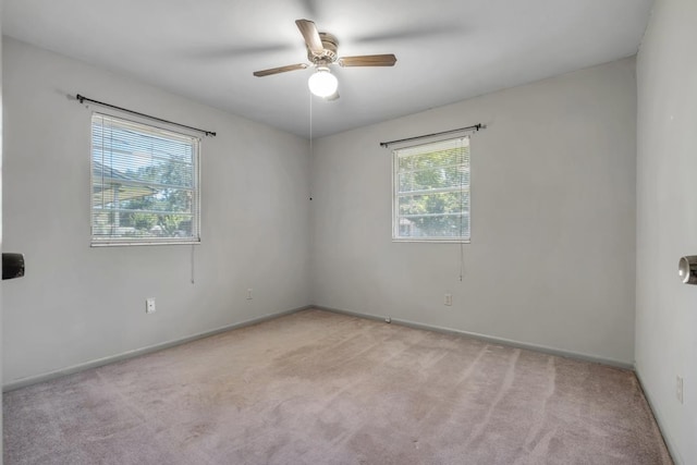 820 Essex Dr, Tallahassee, FL 32304 - carpeted empty room with ceiling fan and baseboards