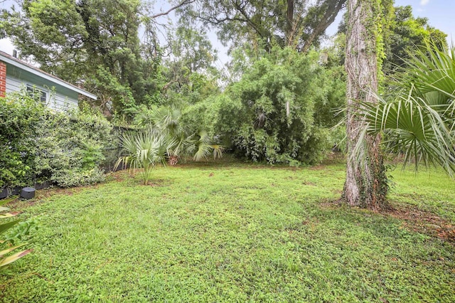 516 Beverly St, Tallahassee, FL 32301 - photo 51
