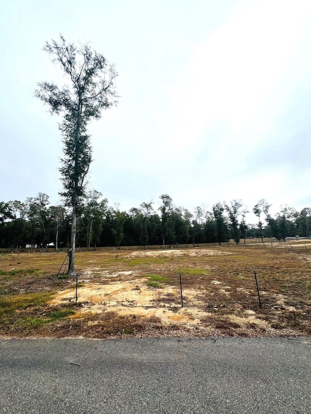 New Market Rd, Hosford FL, 32334 land for sale