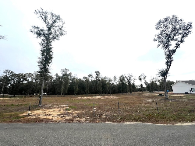 Listing photo 2 for New Market Rd, Hosford FL 32334