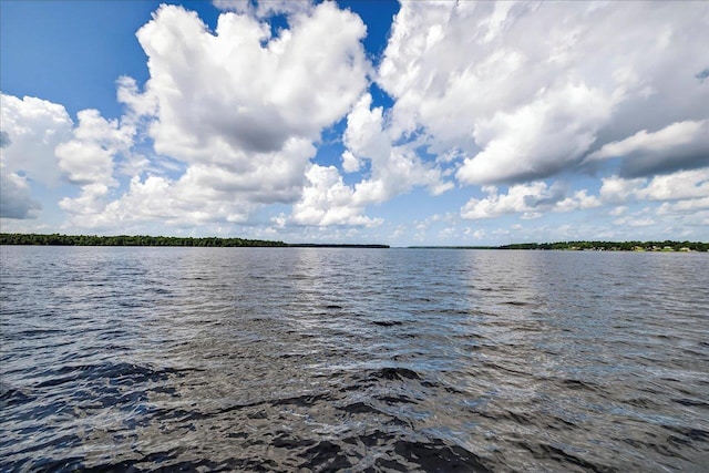 3170 Lakeview Point Rd, Quincy, FL 32351 - photo 60