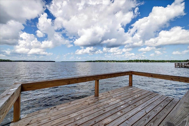 3170 Lakeview Point Rd, Quincy, FL 32351 - photo 59