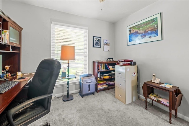 2940 Huntington Dr, Tallahassee, FL 32308 - photo 35