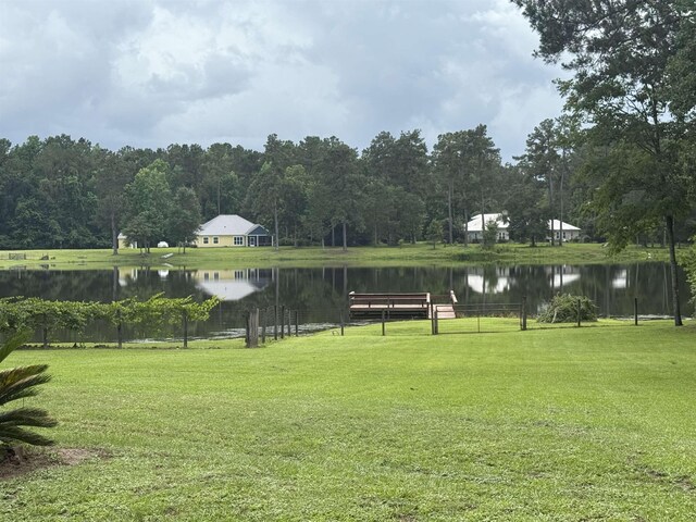 433 Frances Dr, Havana, FL 32333 - photo 5