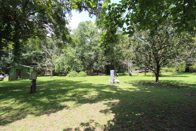 30 Ace High Ln, Crawfordville, FL 32327 - view of grassy yard featuring an outbuilding