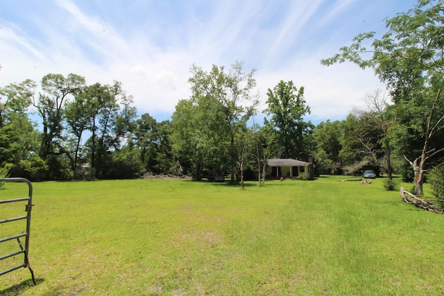 30 Ace High Ln, Crawfordville, FL 32327 - view of green lawn