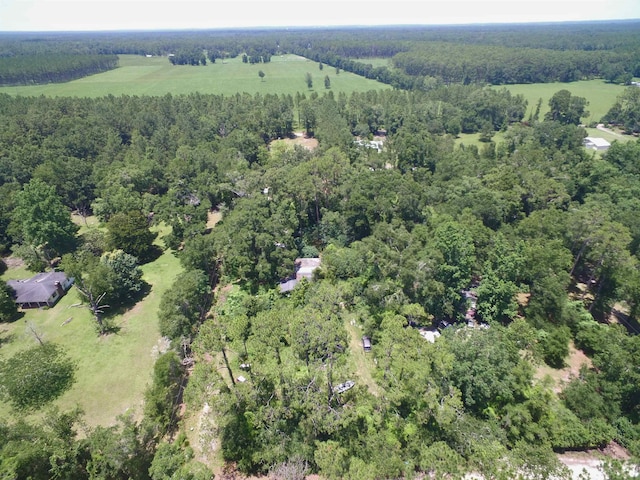 30 Ace High Ln, Crawfordville, FL 32327 - view of property location with a heavily wooded area