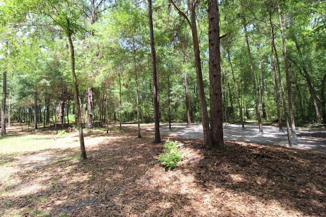 30 Ace High Ln, Crawfordville, FL 32327 - view of woods