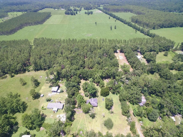30 Ace High Ln, Crawfordville, FL 32327 - view of property location with rural landscape and a forest