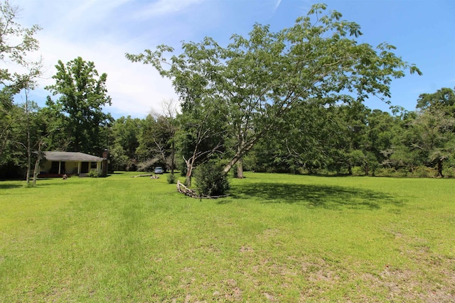 30 Ace High Ln, Crawfordville, FL 32327 - view of grassy yard with a wooded view
