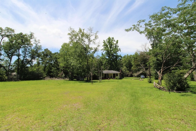 30 Ace High Ln, Crawfordville, FL 32327 - view of green lawn