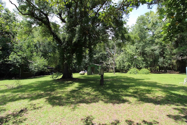 30 Ace High Ln, Crawfordville, FL 32327 - view of green lawn with a shed