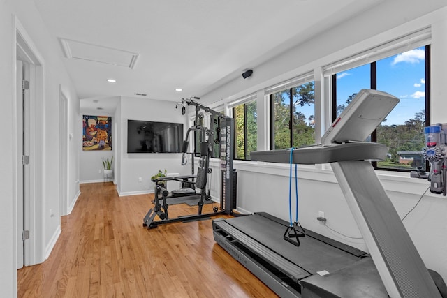 exercise room featuring light hardwood / wood-style flooring