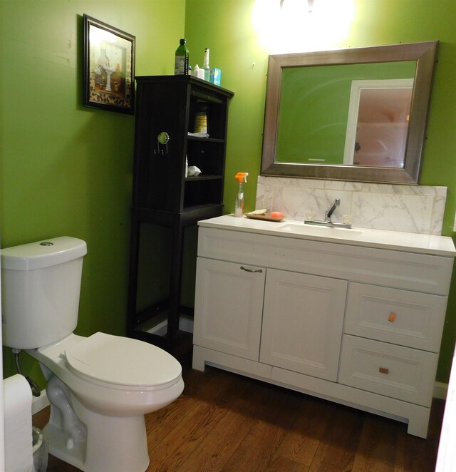 287 Tyre Rd, Havana, FL 32333 - bathroom featuring vanity, wood finished floors, and tasteful backsplash