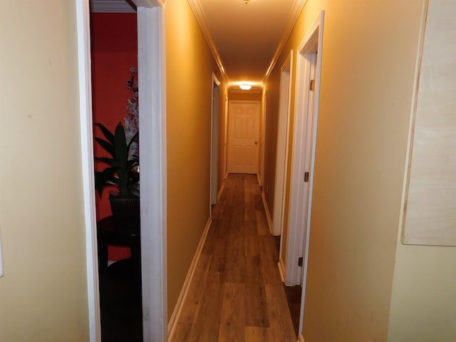 287 Tyre Rd, Havana, FL 32333 - corridor featuring wood finished floors and ornamental molding