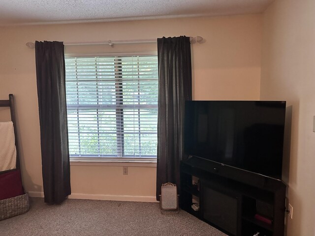 4034 Mcleod Dr, Tallahassee, FL 32303 - photo 8