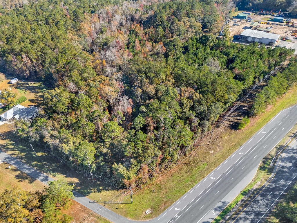0 Blue Star Hwy, Midway, FL 32343 - photo 2