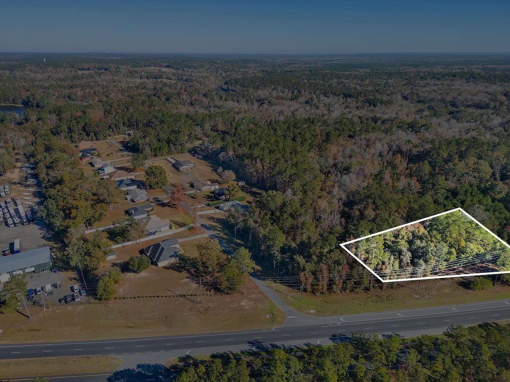 0 Blue Star Hwy, Midway, FL 32343 - photo 1