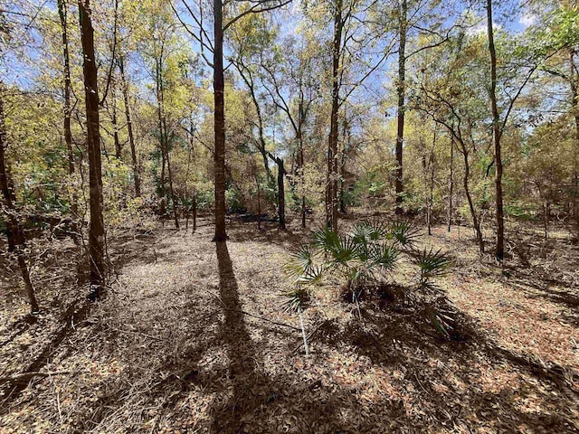 VACANT NW 6th St, Bell, FL 32619