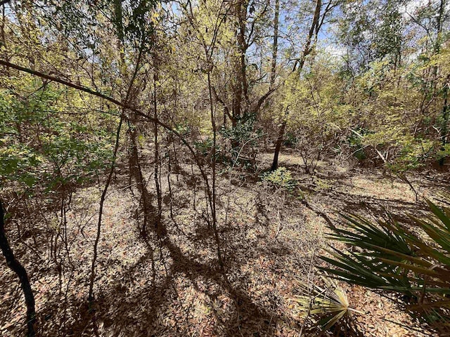 VACANT NW 6th St, Bell, FL 32619