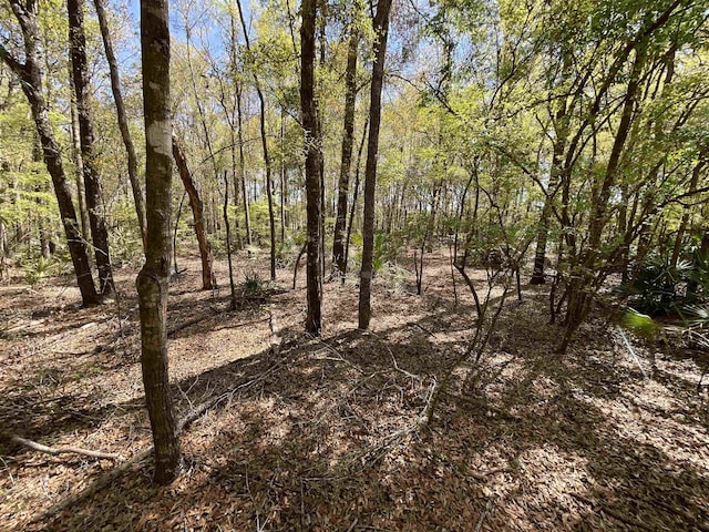 VACANT NW 6th St, Bell, FL 32619