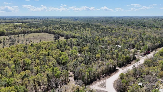 VACANT NW 6th St, Bell, FL 32619