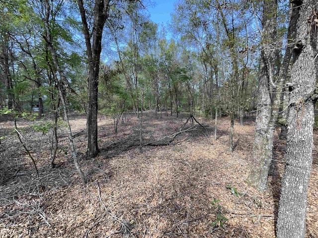 VACANT NW 6th St, Bell, FL 32619