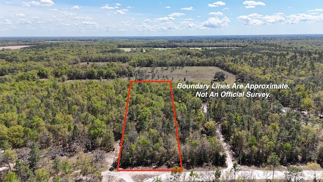 VACANT NW 6th St, Bell, FL 32619